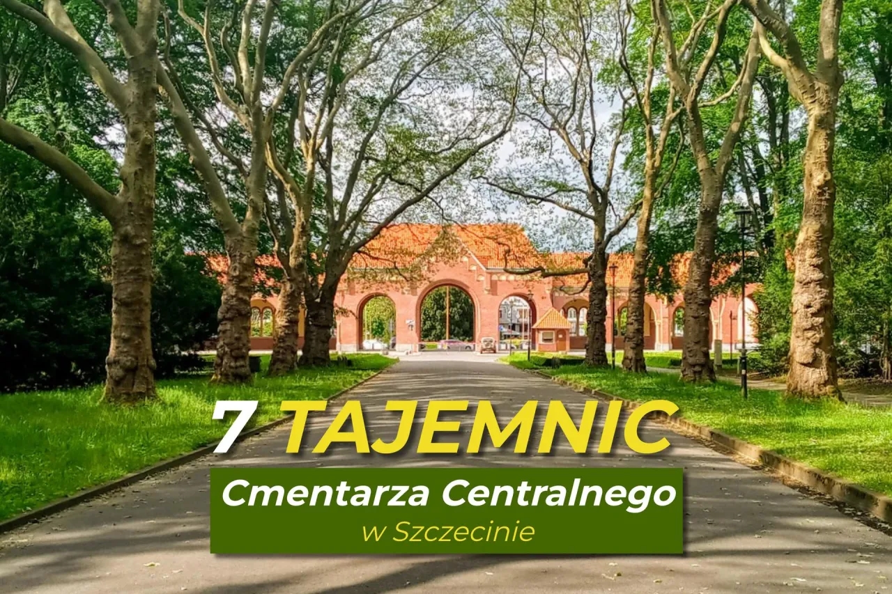 Ile hektarów ma cmentarz w Szczecinie? Poznaj jego ogromną powierzchnię