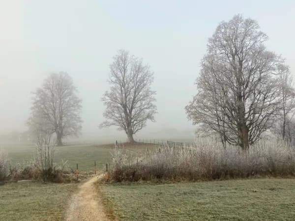 Jaka pogoda w Radomiu - sprawdź, co czeka na ciebie dzisiaj