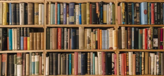 Gdzie oddać książki w Szczecinie? Sprawdź najlepsze miejsca i opcje