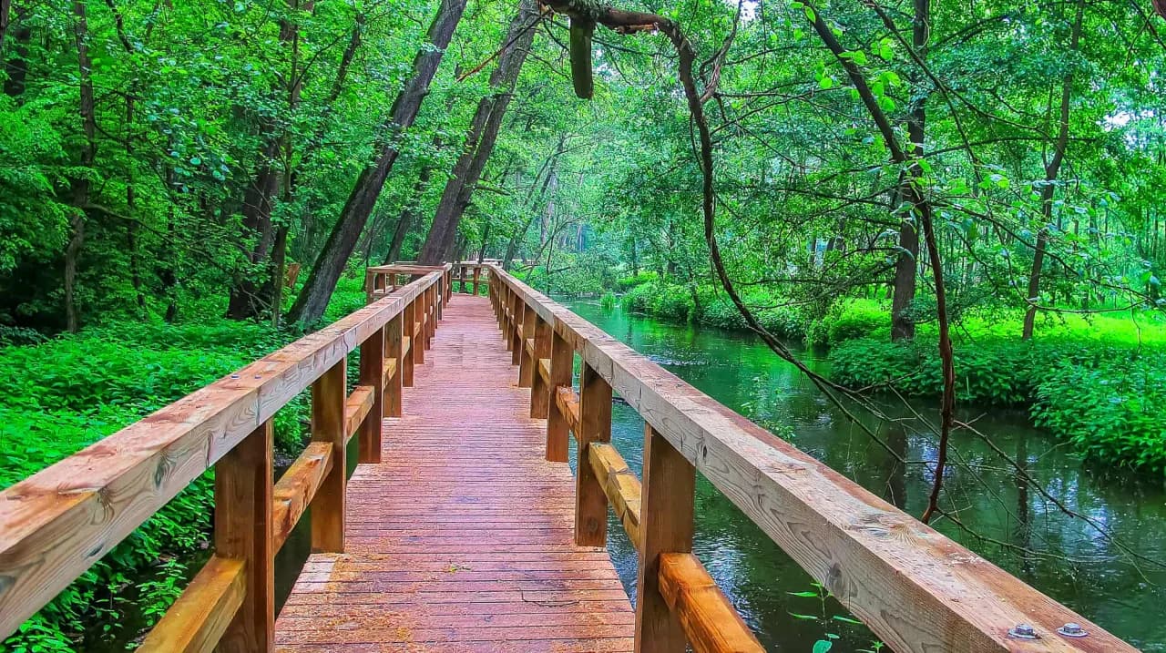 Co można robić w Radomiu? Odkryj atrakcje, które zachwycają